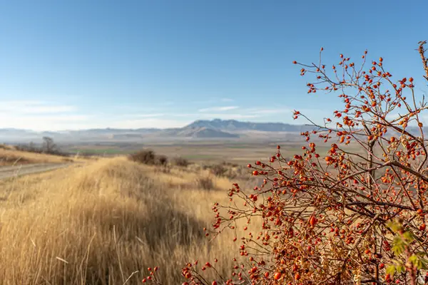 Address Withheld By Seller, Richmond, UT 84333