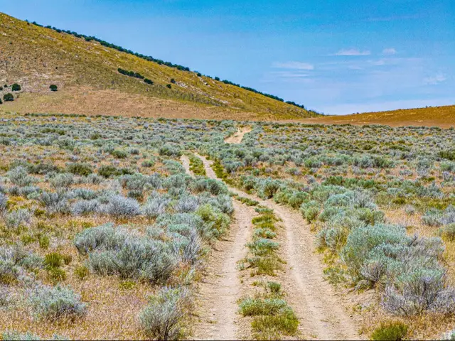 1 Route 1812, Nephi, UT 84648 - Image #3