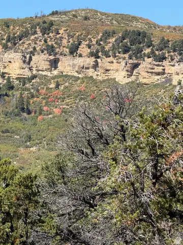 2 Mineral Springs Rd, Mount Carmel, UT 84755 - #3