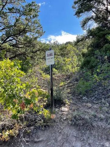 19 E Horseshoe Mtn Estate #19, Spring City, UT 84662 - Image #3