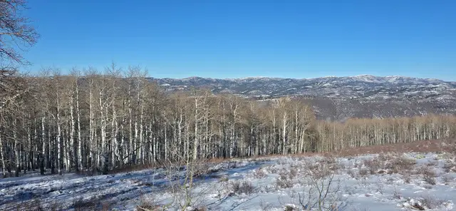 #D45, Spanish Fork, UT 84660 - Image #1