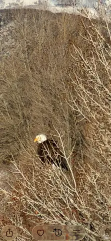 303 S Clyde Lake Dr #303, Heber City, UT 84032 - #3