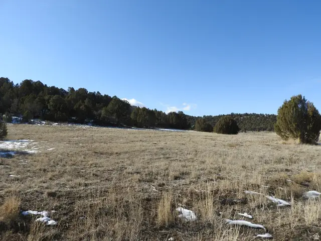 34465 N 9755 E, Fairview, UT 84629 - Image #1