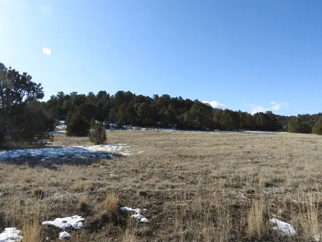 34465 N 9755 E, Fairview, UT 84629 - Image #2