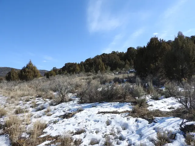 34465 N 9755 E, Fairview, UT 84629 - Image #3