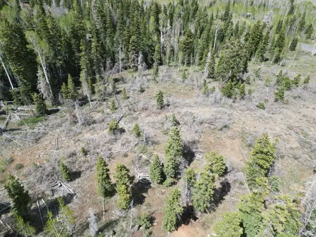 248 N Spring Dr, Springdale, UT 84767 - #2