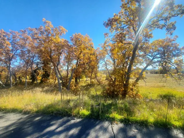 248 N Spring Dr, Springdale, UT 84767 - #3