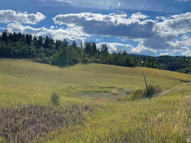 46 Elk Watch Ln #46, Freedom, WY 83120 - #3