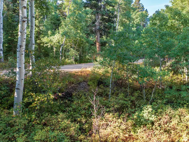 11273 E Aspen Rd #73, Heber City, UT 84032 - Image #3