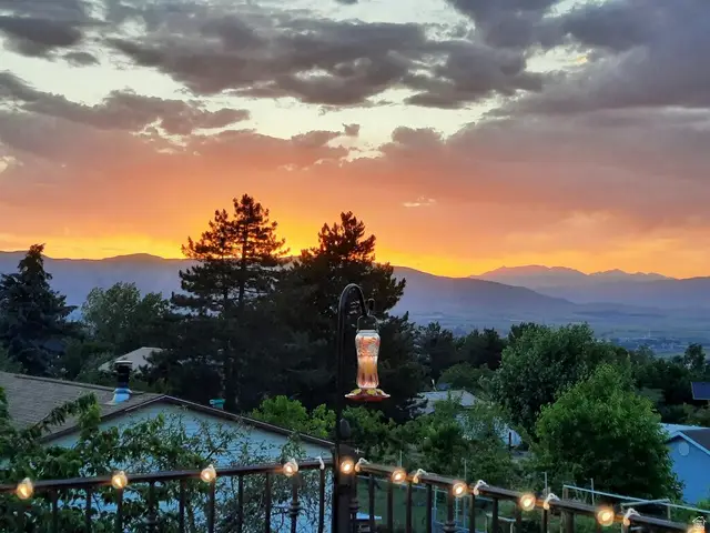 569 E Park Dr, Elk Ridge, UT 84651 - #2