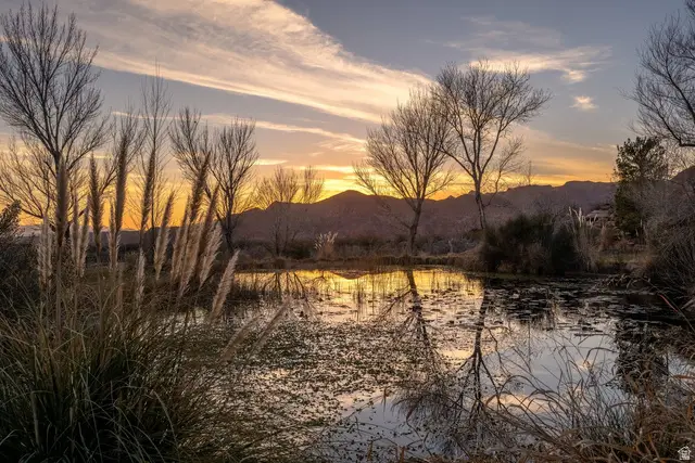 779 S Silver Rd, Leeds, UT 84746 - #2