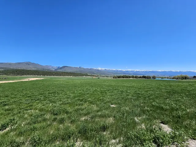 2 N Juniper E #2, Fairview, UT 84629 - #3