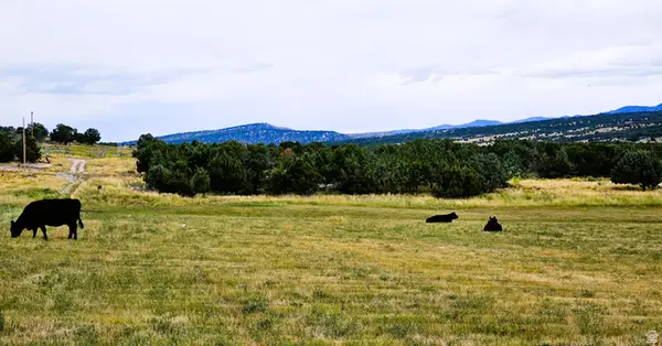 7 Juniper #7, Fairview, UT 84629