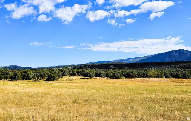 7 Juniper #7, Fairview, UT 84629 - #3