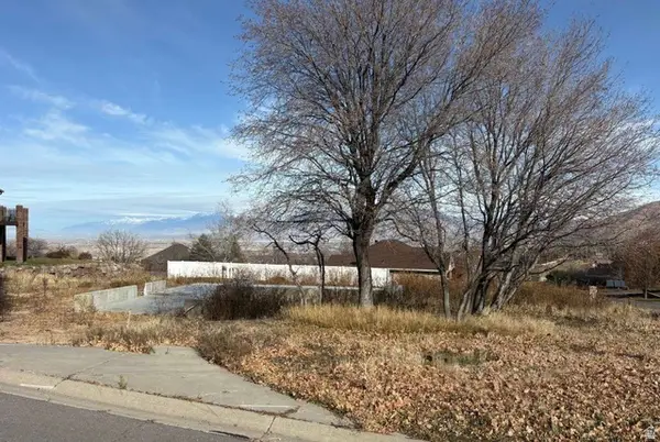 312 W Haleys Lookout, Elk Ridge, UT 84651
