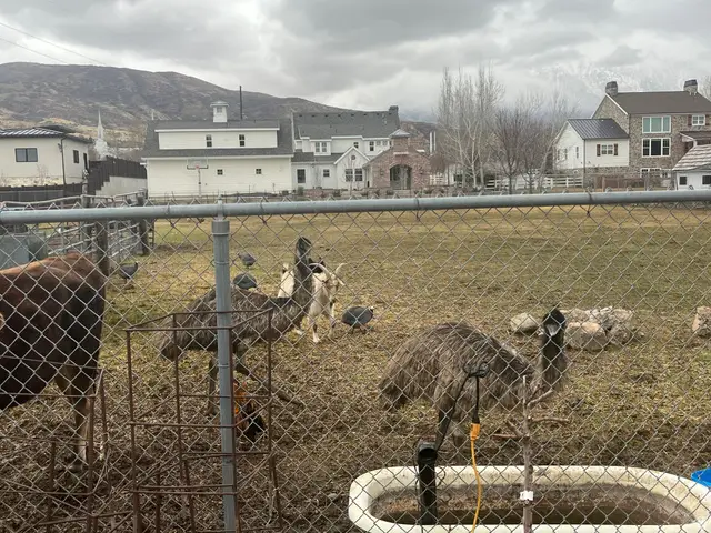 127 S 400 E, Lindon, UT 84042 - #2