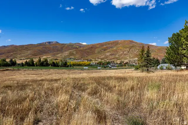 1160 S Stringtown Rd, Midway, UT 84049 - #3