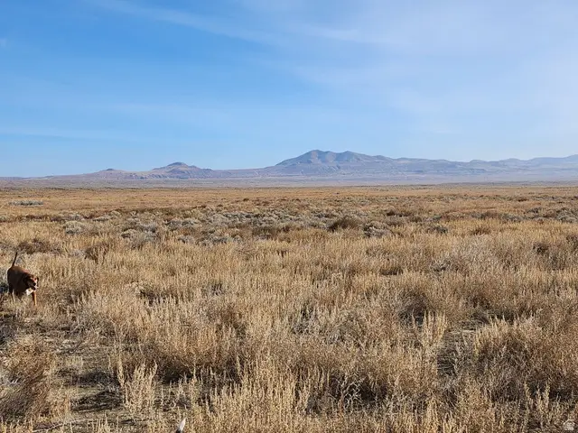 #101, Ocala, UT 84714 - #1