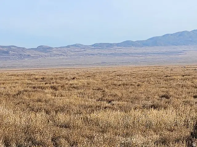 #101, Ocala, UT 84714 - #3