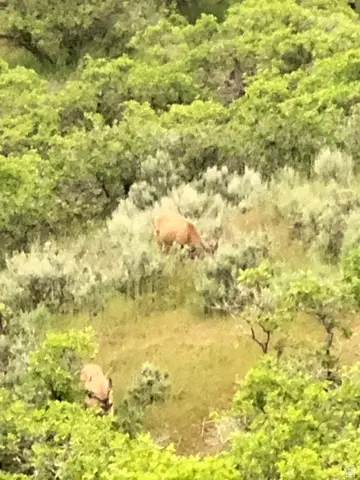 541 S Left Fork Hobb Rd E #8, Springville, UT 84663 - #2