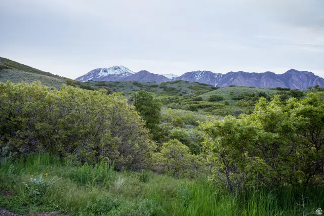 15 E Three Falls Rdg #53, Alpine, UT 84004 - #3