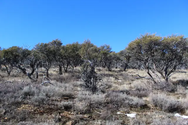 997 W Cisco Run #E41, Garden City, UT 84028 - #3