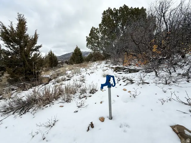 150 Mountain View Rd #150, Mount Pleasant, UT 84647 - #2