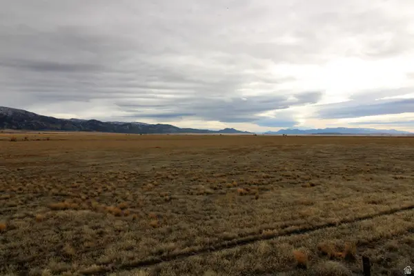 3338 W Crooked Ln, Levan, UT 84639