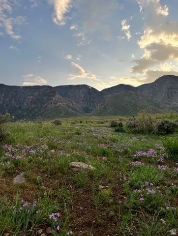 Parcel #5656, Scipio, UT 84656 - #1