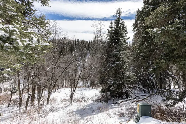 Address Withheld By Seller, Coalville, UT 84017 - #3