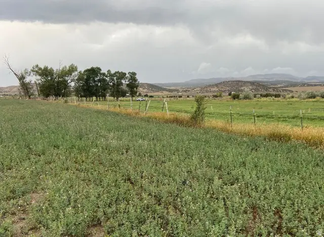 19250 N 1100 W, Mount Pleasant, UT 84647 - #2