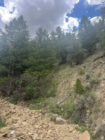 Address Withheld By Seller, Duchesne, UT 84021 - #2