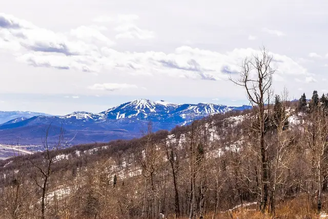 10516 Basin Canyon Rd, Park City, UT 84098 - #1