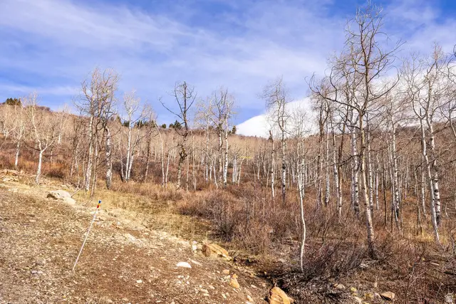 10516 Basin Canyon Rd, Park City, UT 84098 - #2