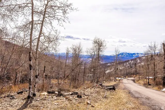 10516 Basin Canyon Rd, Park City, UT 84098 - #3