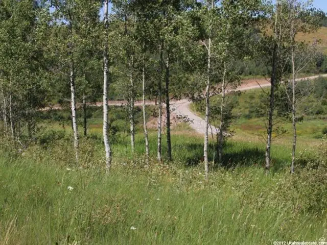 14 Elk Watch Ln #14, Wayan, ID 83285 - #2