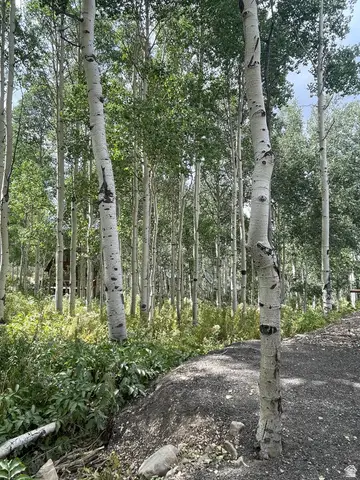 11485 E Violet Way #1845, Heber City, UT 84032 - #3