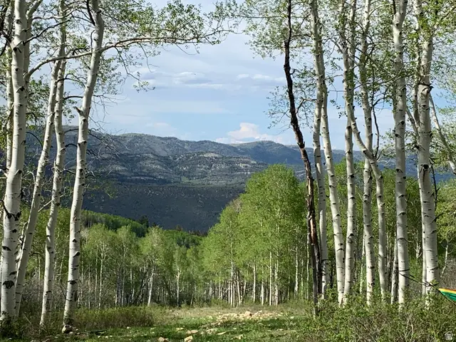 Dr #53, Spanish Fork, UT 84660 - #1