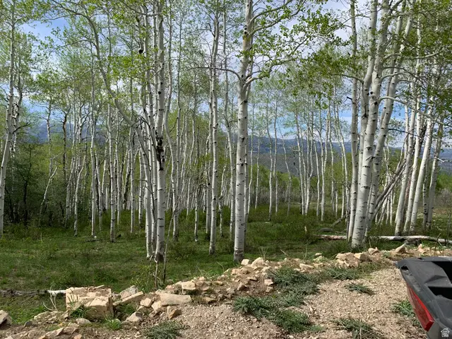 Dr #53, Spanish Fork, UT 84660 - #2