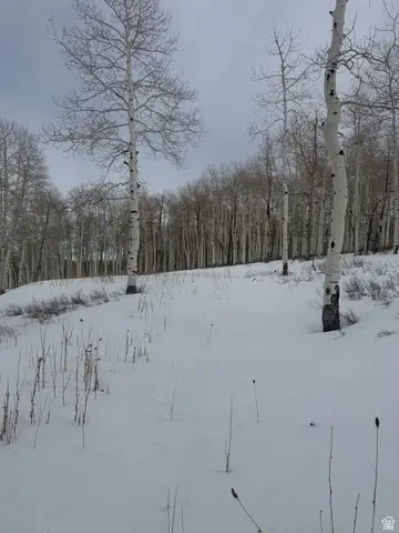 Dr #53, Spanish Fork, UT 84660 - #3