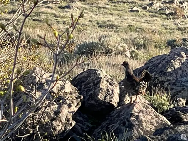 200 Mill Farm Rd, Montpelier, ID 83254 - #3