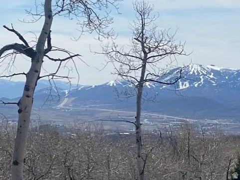 2604 S Forest Meadow Rd #C-82, Coalville, UT 84017 - #2