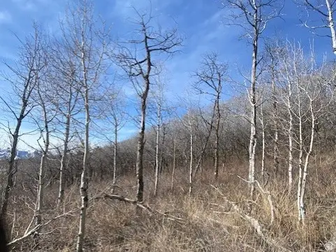 2604 S Forest Meadow Rd #C-82, Coalville, UT 84017 - #3