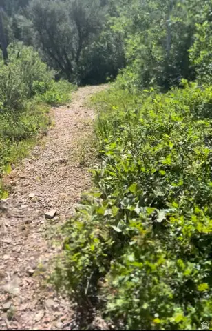 424 Beaver Creek Rd Hls #424, Kamas, UT 84036 - #2