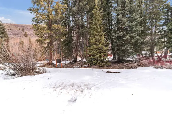 10840 E Moose Run Ln #21,22, Brighton, UT 84121