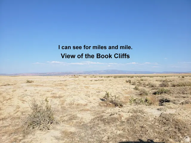 Address Withheld By Seller, Cisco, UT 84515 - #3