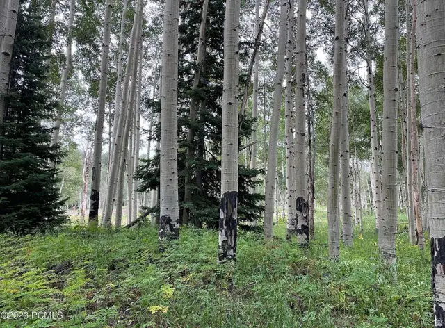 4410 Fawn Way #2038, Heber City, UT 84032 - #1