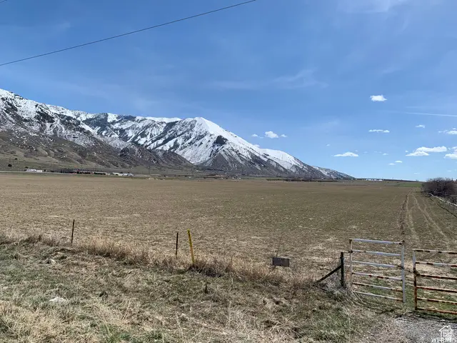 300 N Ut-54 1070 Ave, Mona, UT 84645 - #3