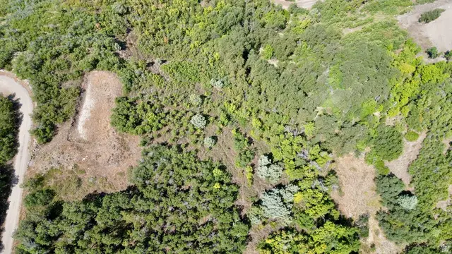 23203 N 14133 E #4, Fairview, UT 84629 - #2