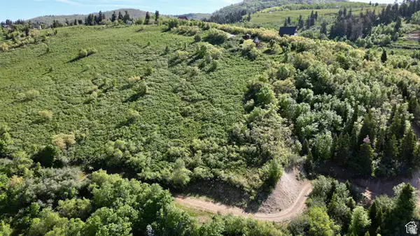 23206 N 14136 E #131, Fairview, UT 84629